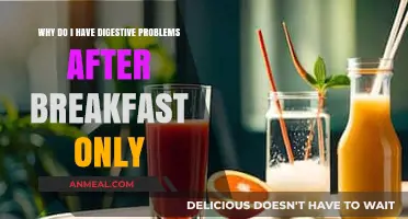 Morning Digestive Woes: Unraveling Post-Breakfast Stomach Issues and Solutions
