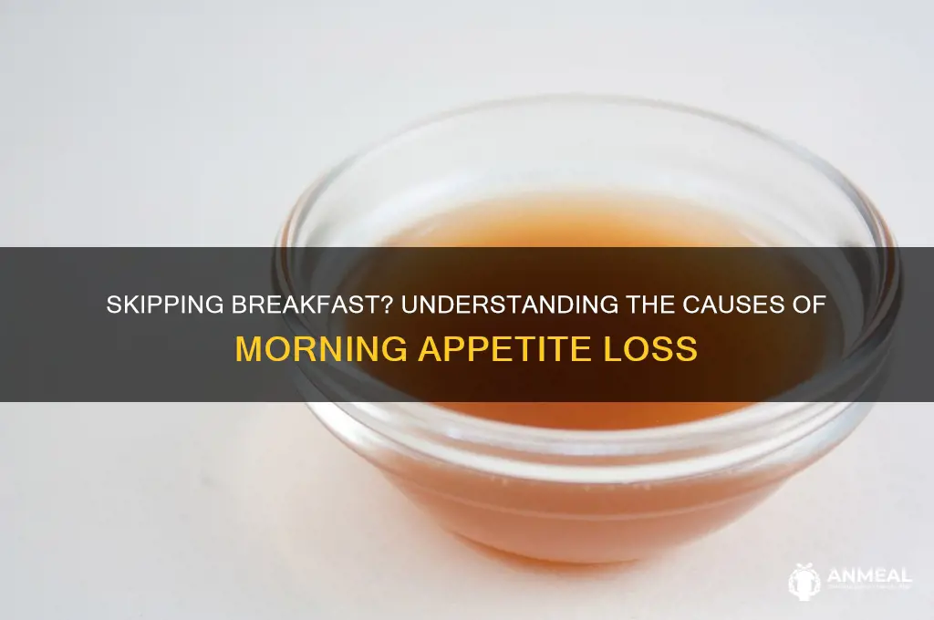 why do i have no appetite for breakfast