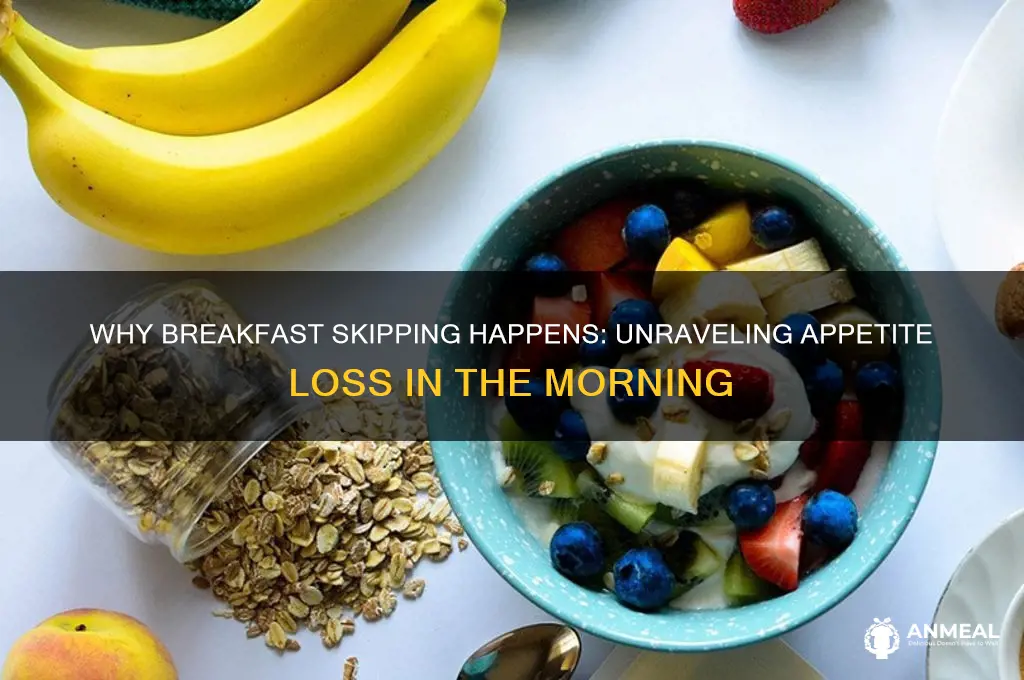 why do i lose my apwtite for breakfast