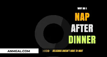 Post-Dinner Naps: Unraveling the Science Behind Evening Sleepiness