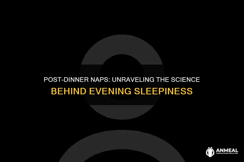 why do i nap after dinner