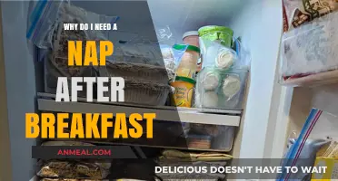 Post-Breakfast Slump: Unraveling the Science Behind Morning Naps