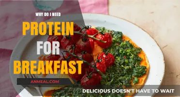 Boost Your Morning Energy: The Essential Role of Protein at Breakfast