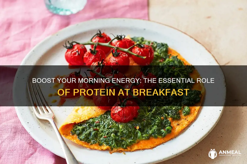 why do i need protein for breakfast