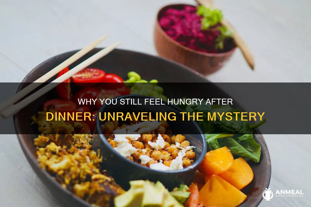 why do i not get full after dinner