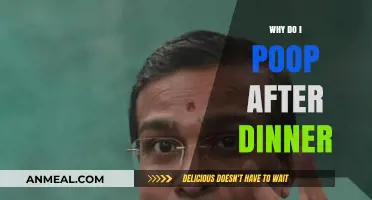 Why Do I Poop After Dinner? Understanding Post-Meal Digestion