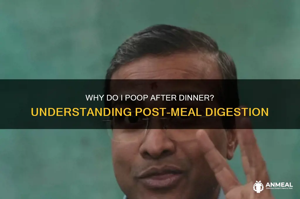 why do i poop after dinner
