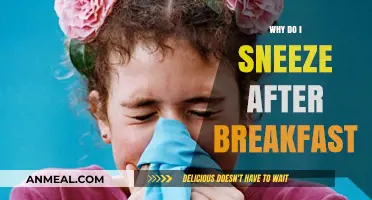 Sneezing After Breakfast: Unraveling the Morning Allergy Mystery