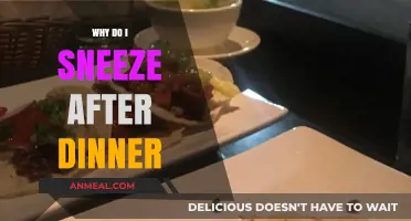 Post-Dinner Sneezes: Unraveling the Surprising Reasons Behind the Phenomenon