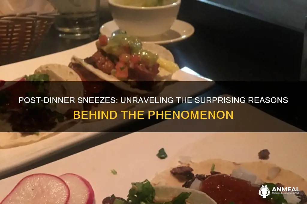 why do i sneeze after dinner