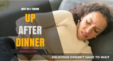 Post-Dinner Nausea: Understanding Why You Throw Up After Eating