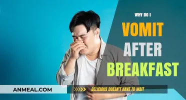 Why Vomiting After Breakfast Happens: Causes and Solutions Explained