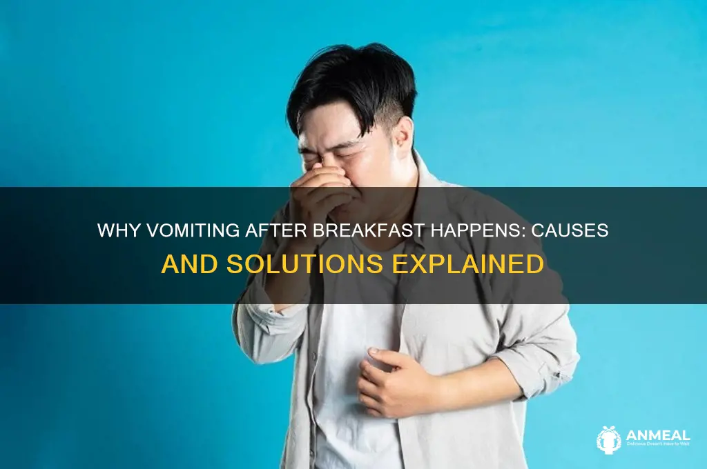 why do i vomit after breakfast