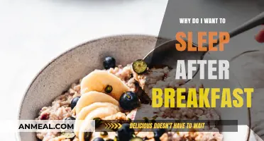Post-Breakfast Sleepiness: Understanding the Science Behind Morning Fatigue