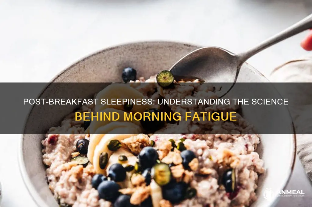 why do i want to sleep after breakfast