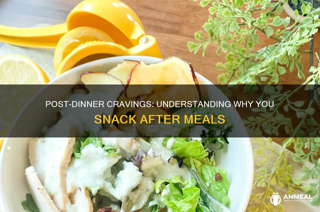 why do i want to snack after dinner