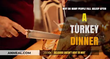 Turkey Dinner and Sleepiness: Unraveling the Post-Meal Slumber Mystery