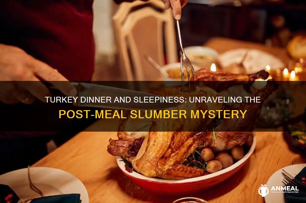 why do many people fall asleep after a turkey dinner
