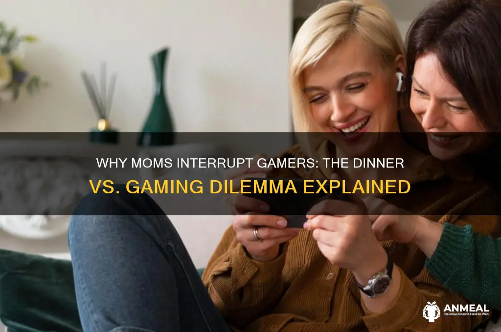 why do mothers interrupt gamers with dinner