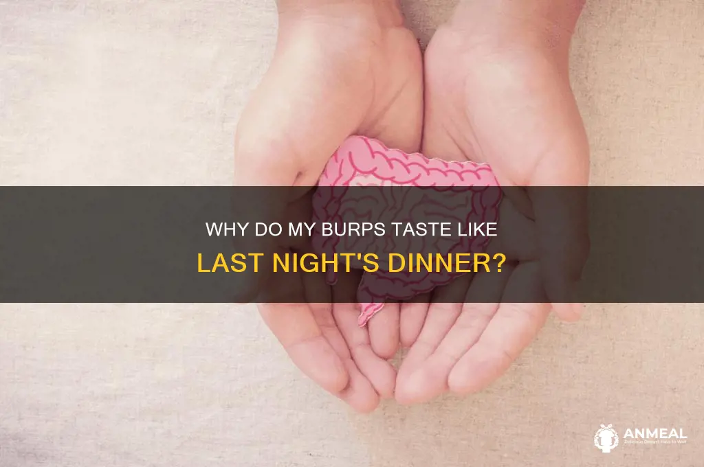 why do my burps taste like last night