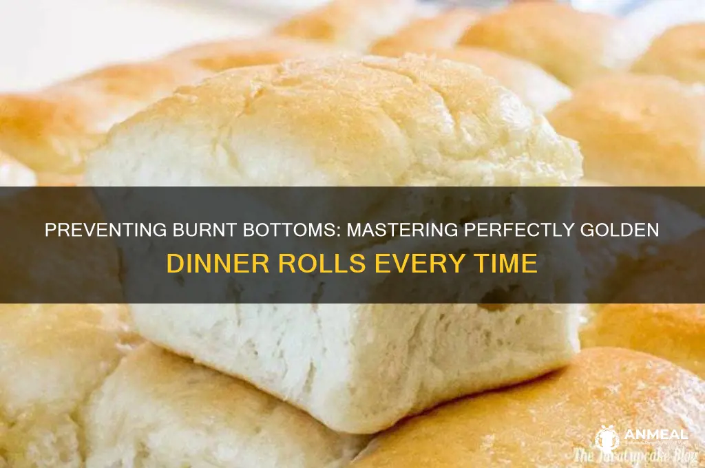 why do my dinner rolls burn on the bottom
