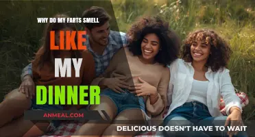 Why Do My Farts Smell Like My Dinner? Explained