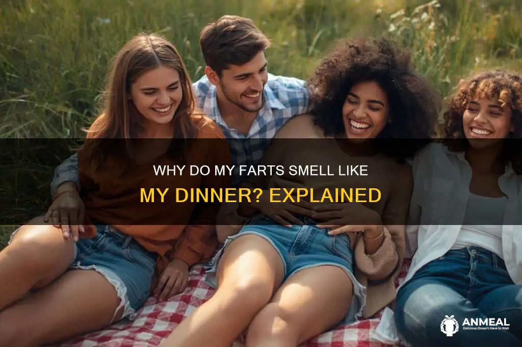 why do my farts smell like my dinner