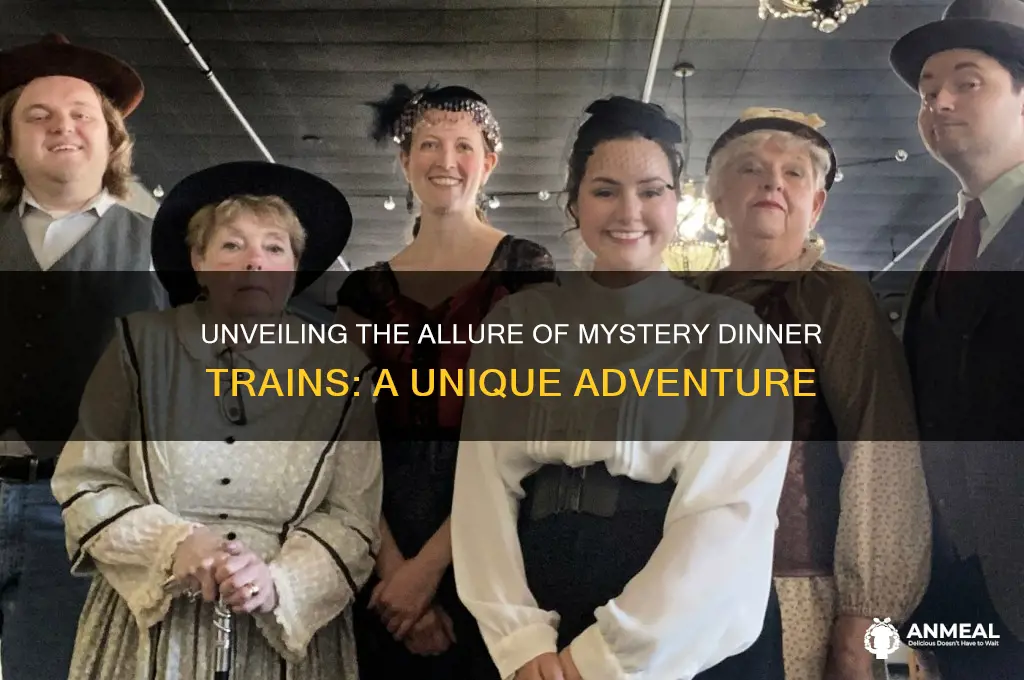 why do mysteri dinner trains