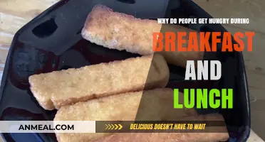 Why Do We Feel Hungry Between Breakfast and Lunch?