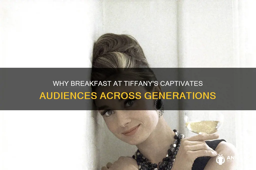 why do people like breakfast at tiffanys