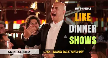 Dinner Shows: Why Audiences Love This Unique Entertainment Experience