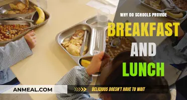 Fuel for Learning: Why Schools Provide Breakfast and Lunch