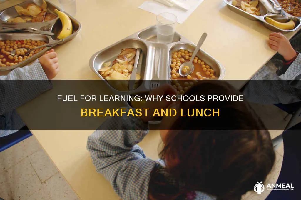 why do schools provide breakfast and lunch