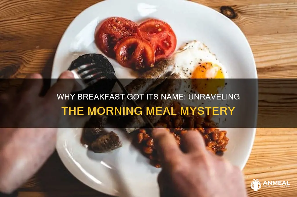 why do they call breakfast breakfast