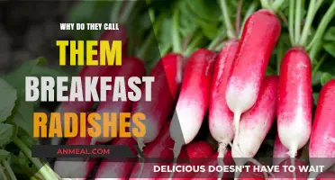 Why 'Breakfast Radishes'? Uncovering the Surprising Origin Story