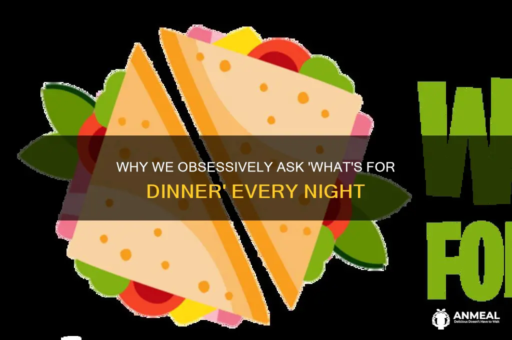why do we always ask what