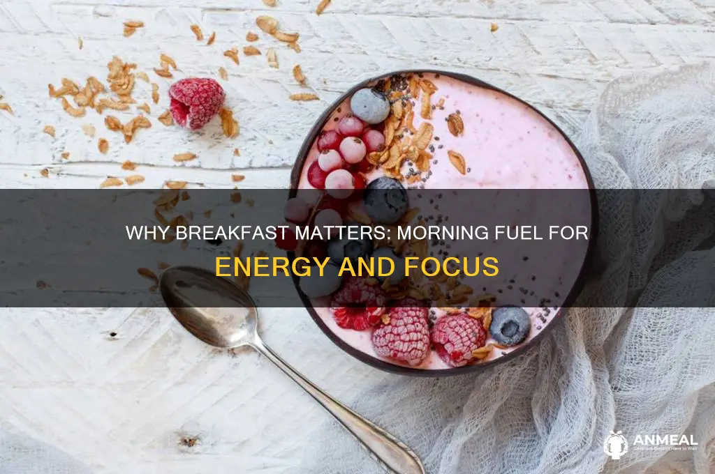 why do we have breakfast in the morning