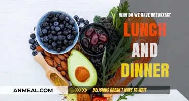 The Science Behind Our Daily Meals: Breakfast, Lunch, and Dinner Explained