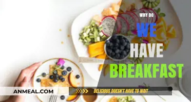 Why Breakfast Matters: Fueling Your Day's Energy and Focus