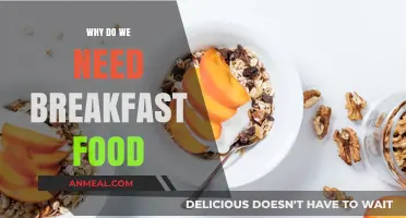 Fuel Your Day: The Essential Role of Breakfast Foods