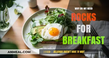 Why Rocks for Breakfast? Unlocking Surprising Health Benefits and Myths