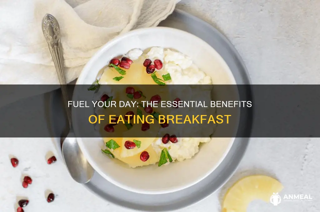why do we need to take breakfast
