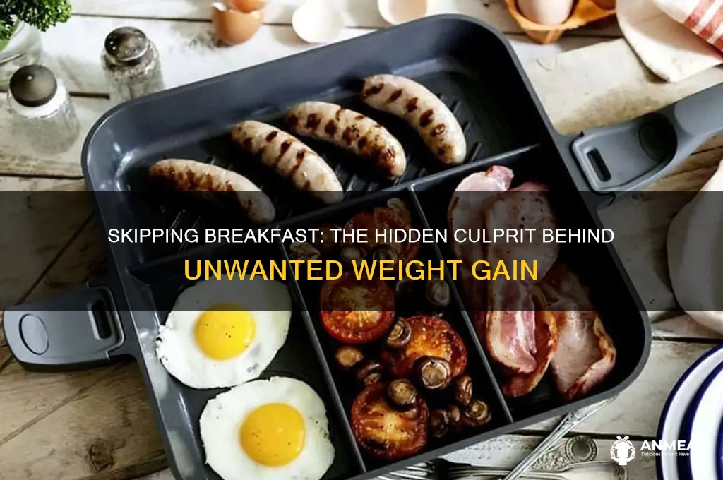 why do you gain weight when you skip breakfast