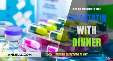 Take Lovastatin with Dinner: Benefits and Best Practices Explained
