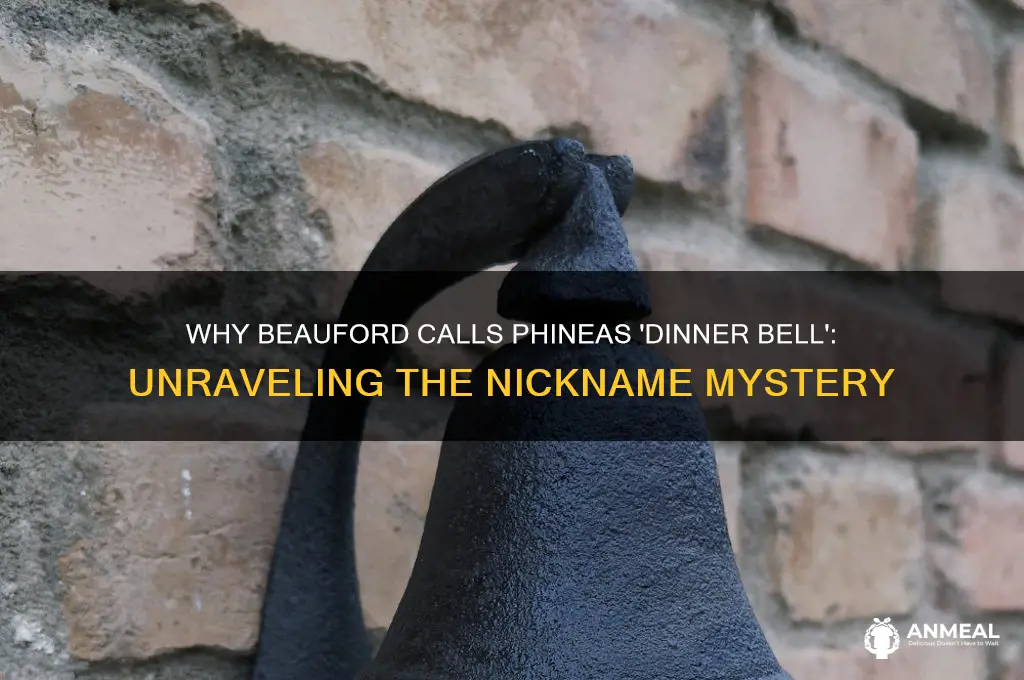 why does beauford call phineas dinner bell