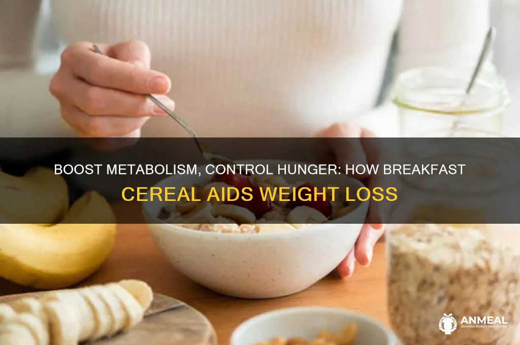 why does breakfast cereal help you lose weight