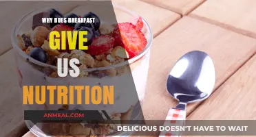 Why Breakfast is Essential for Daily Nutrition and Energy