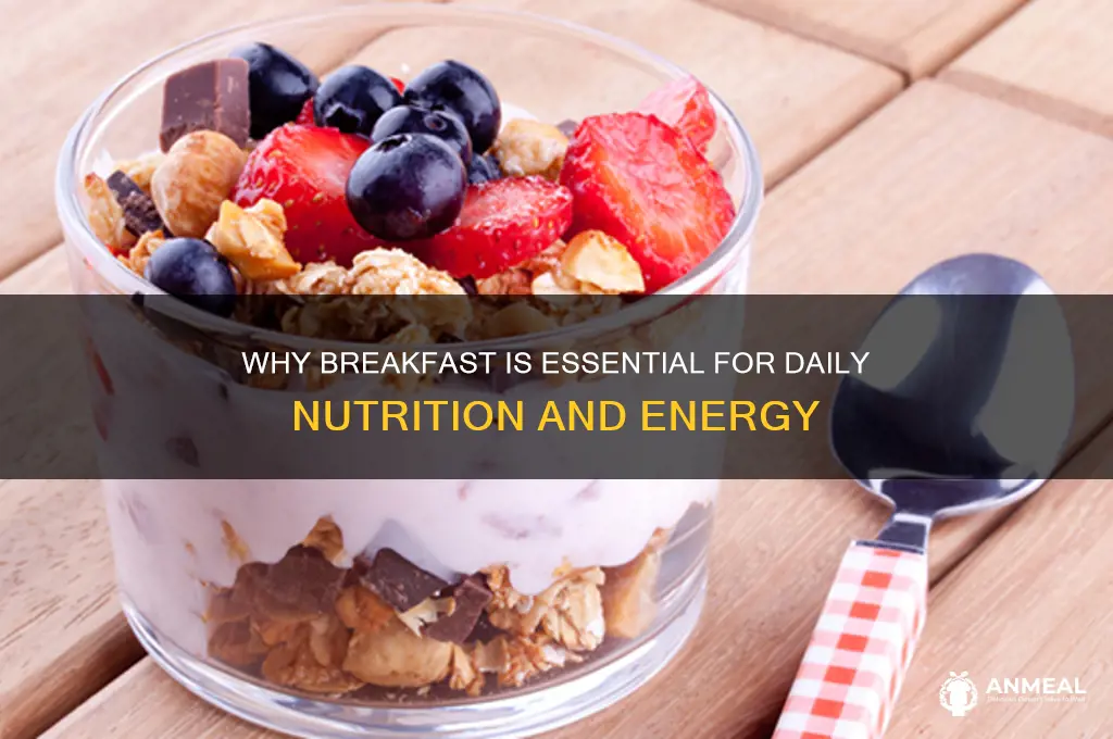 why does breakfast give us nutrition