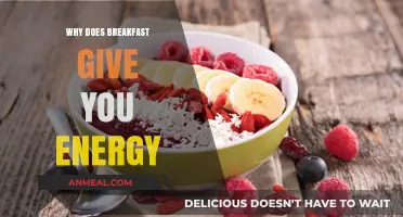 Fuel Your Morning: How Breakfast Boosts Energy and Focus