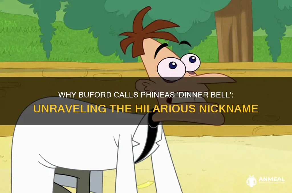 why does buford call phineas dinner bell